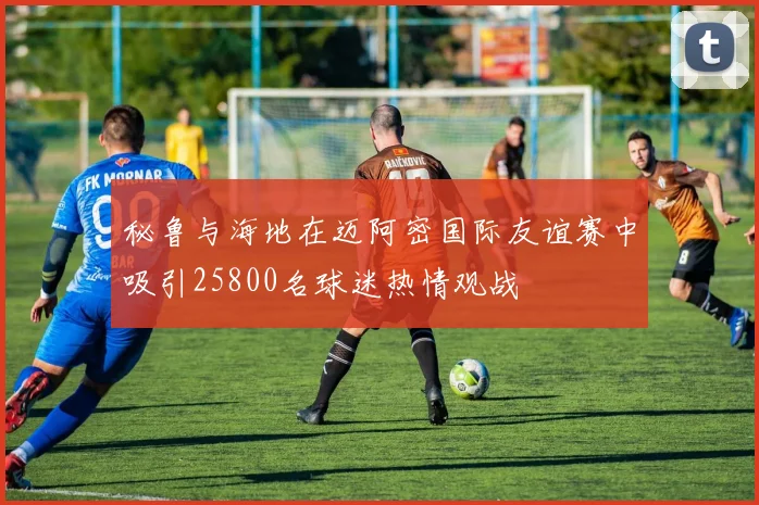 秘鲁与海地在迈阿密国际友谊赛中吸引25800名球迷热情观战